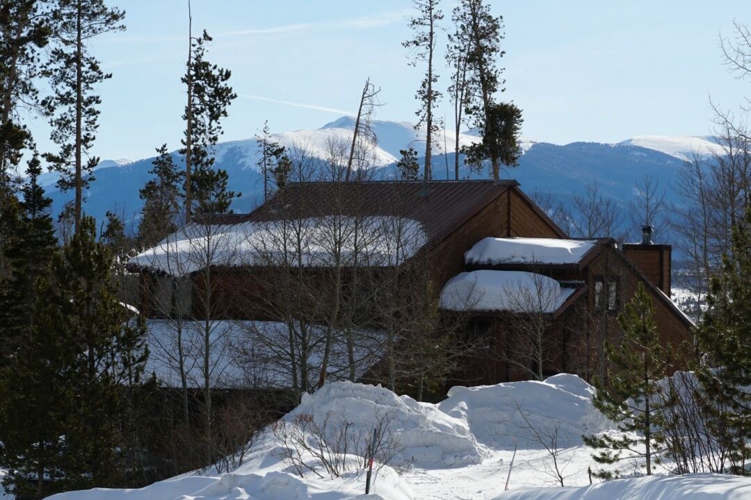 Photo of Others in Wildernest