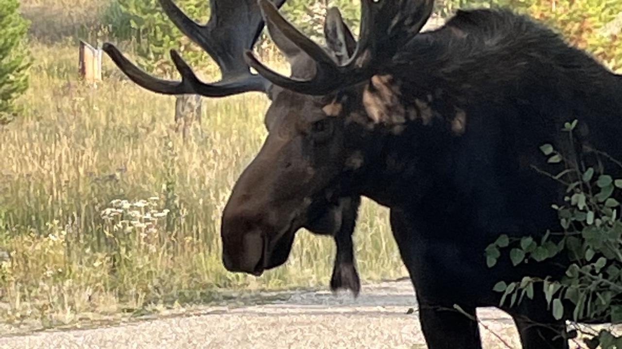 Photo of Outdoor in Grand Lake