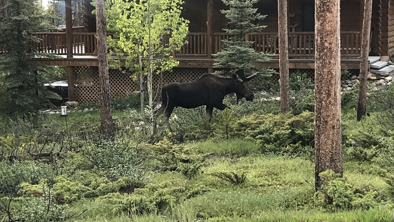 Photo of Outdoor in Fraser