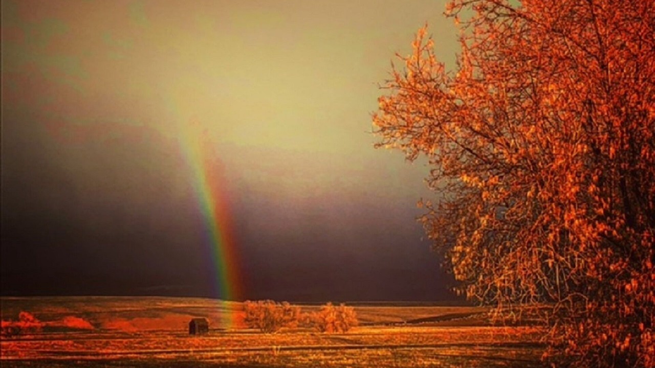 Photo of Others in Meeker