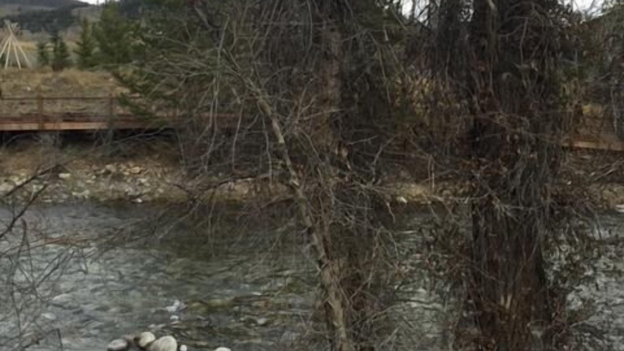 Photo of Outdoor in Willow Grove