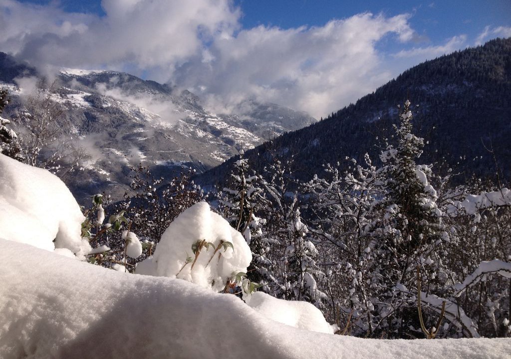 Photo of Outdoor in Les Allues