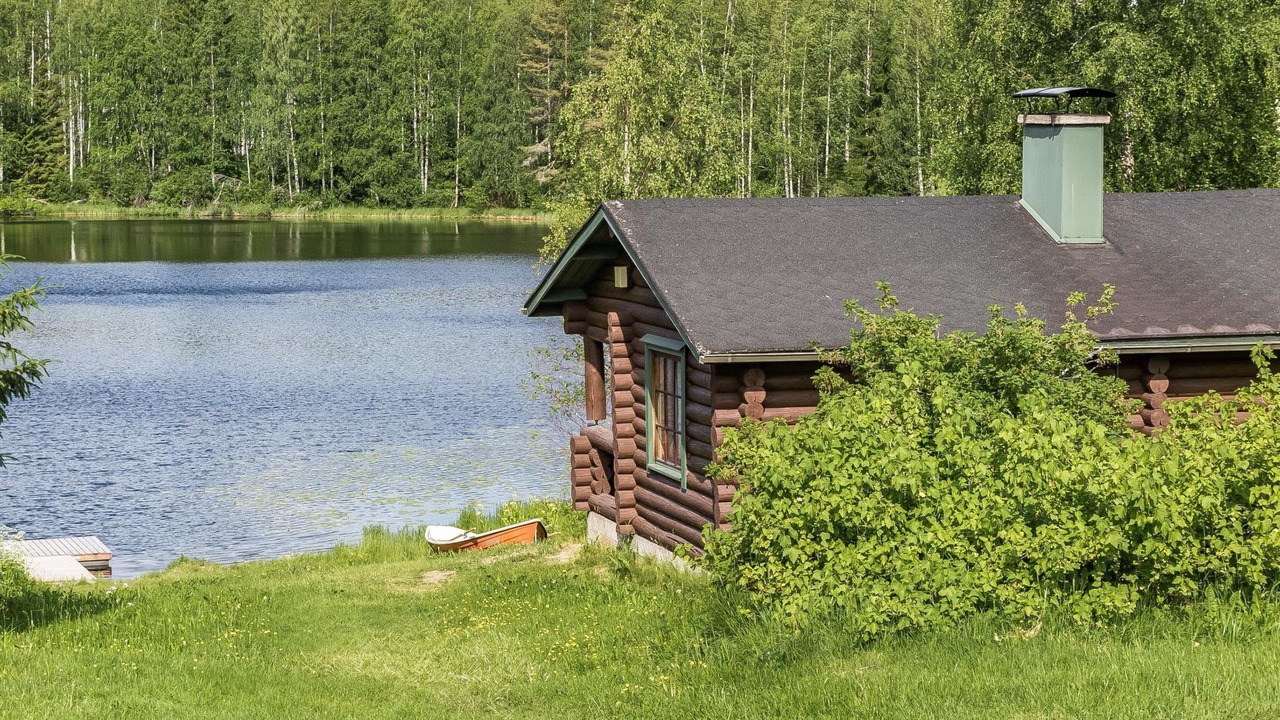 Photo of Others in Lapinlahti