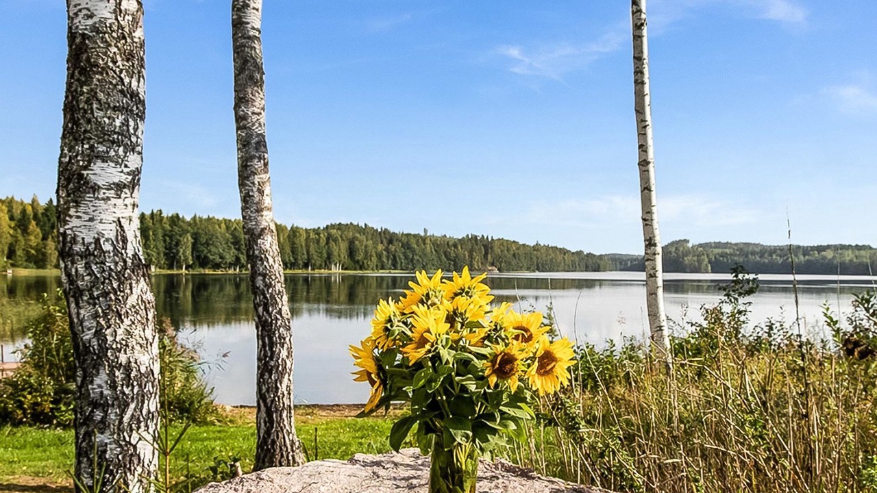 Photo of Others in Kitula