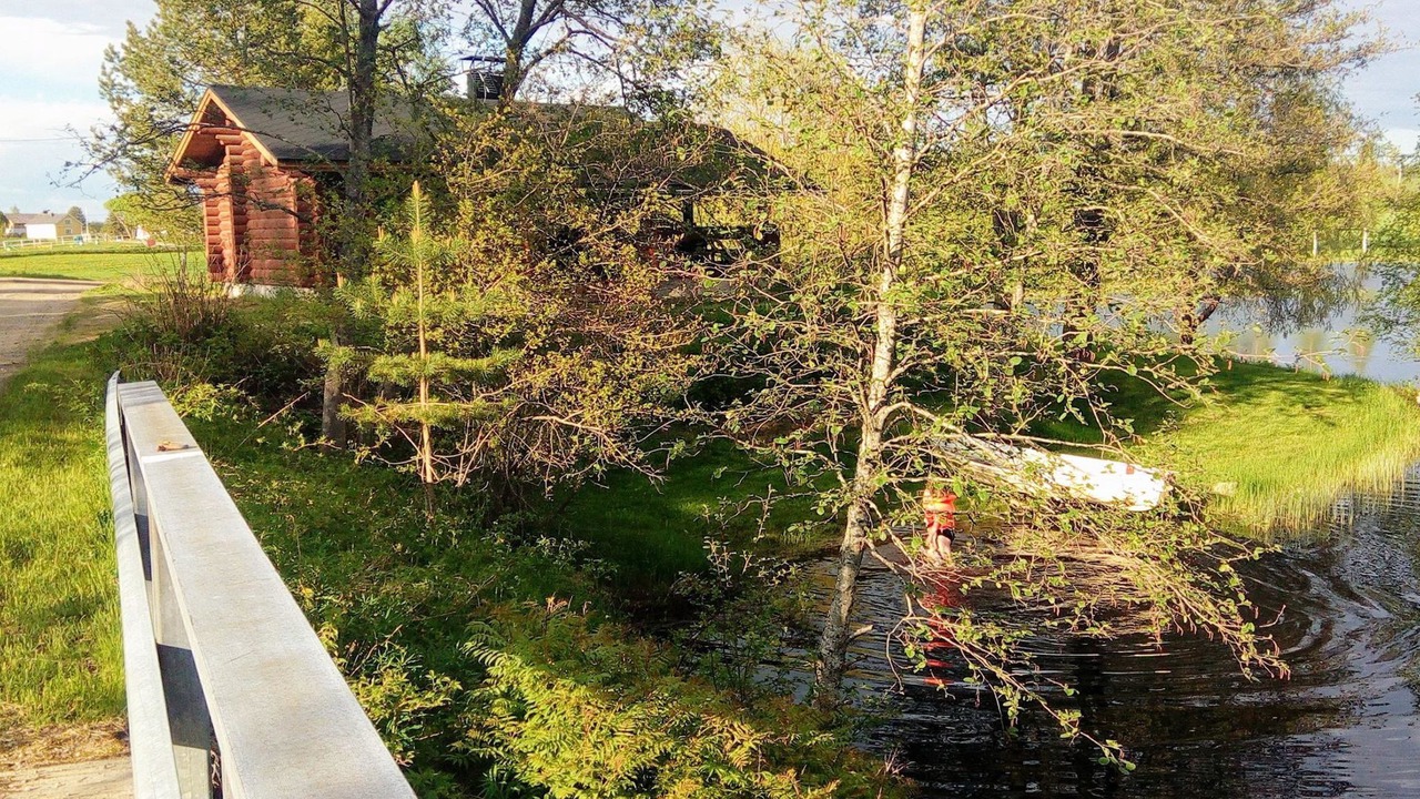 Photo of Others in Lapinlahti