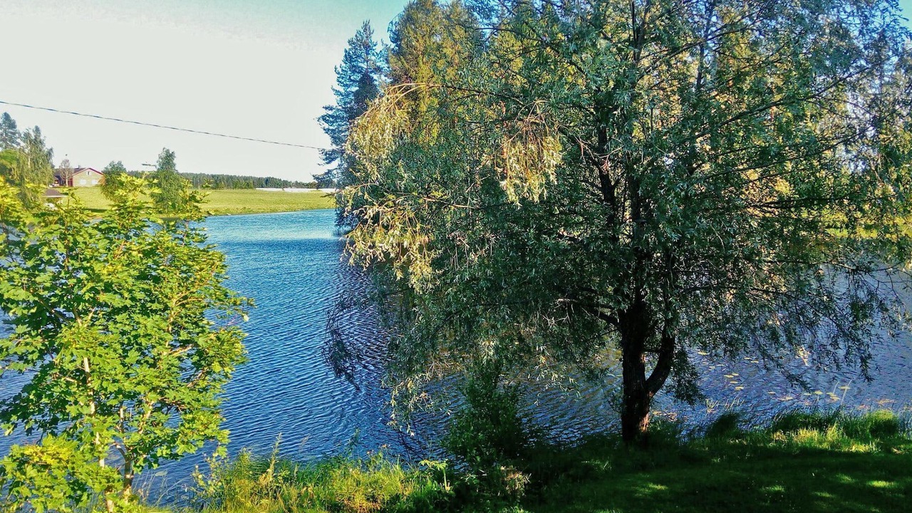 Photo of Others in Lapinlahti