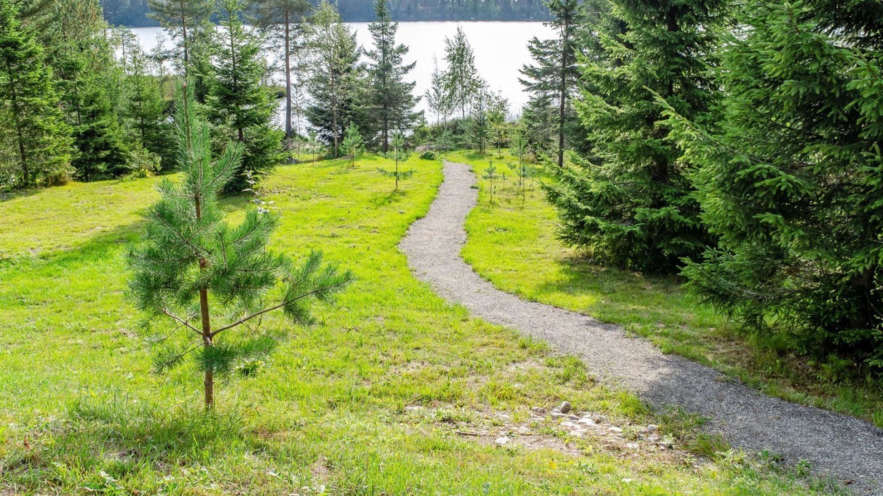 Photo of Others in Koli National Park