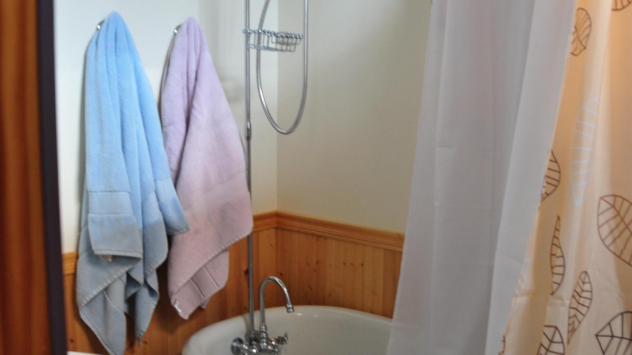 Photo of Bathroom in Leadville