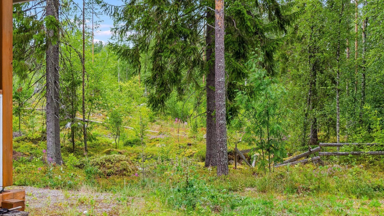 Photo of Others in Kylanlahti