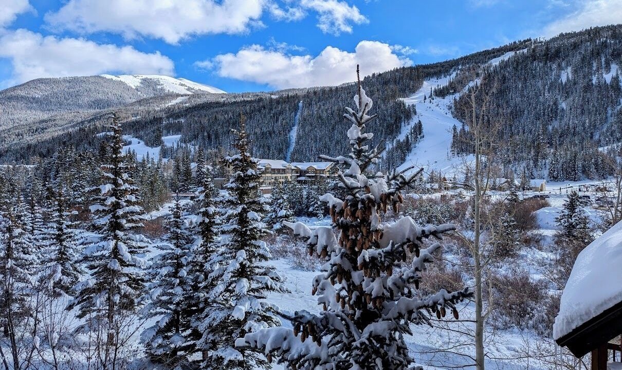 Photo of Others in Mountain House