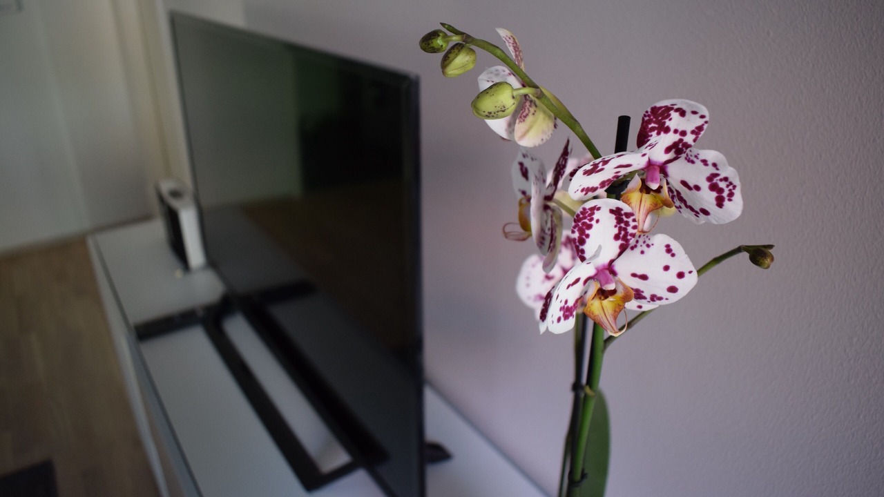Photo of Kitchen in Vaasa