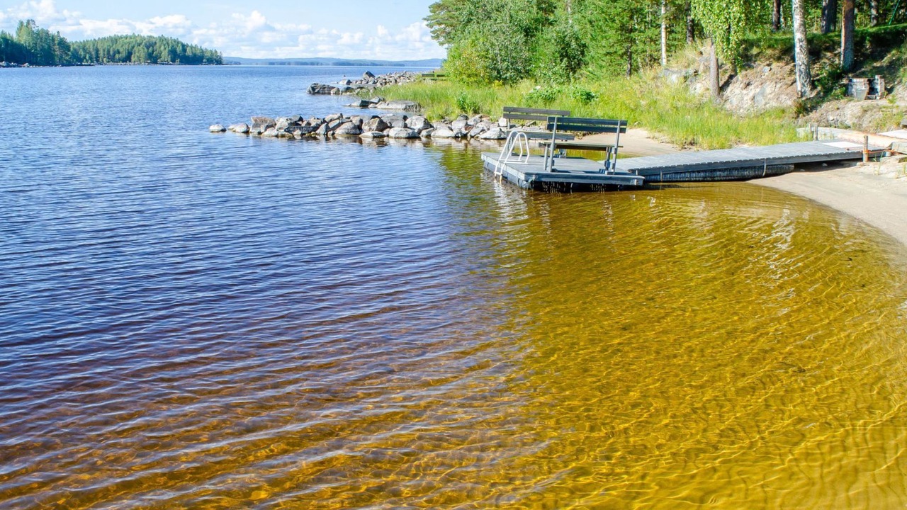 Photo of Others in Koli National Park