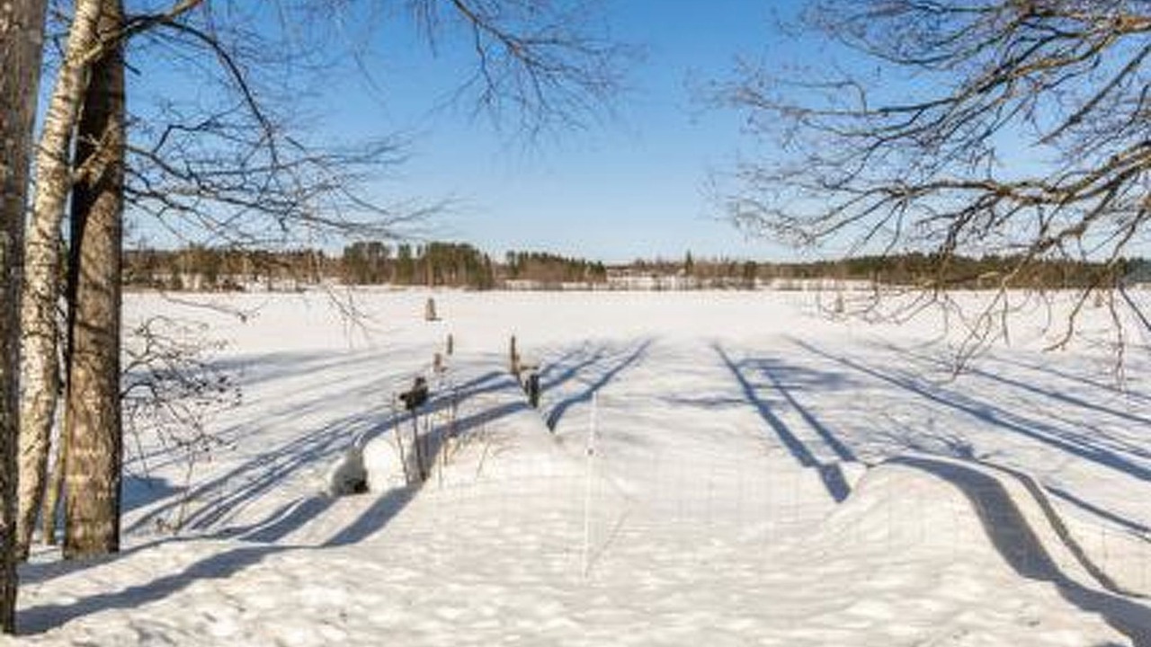 Photo of Others in Rautalampi