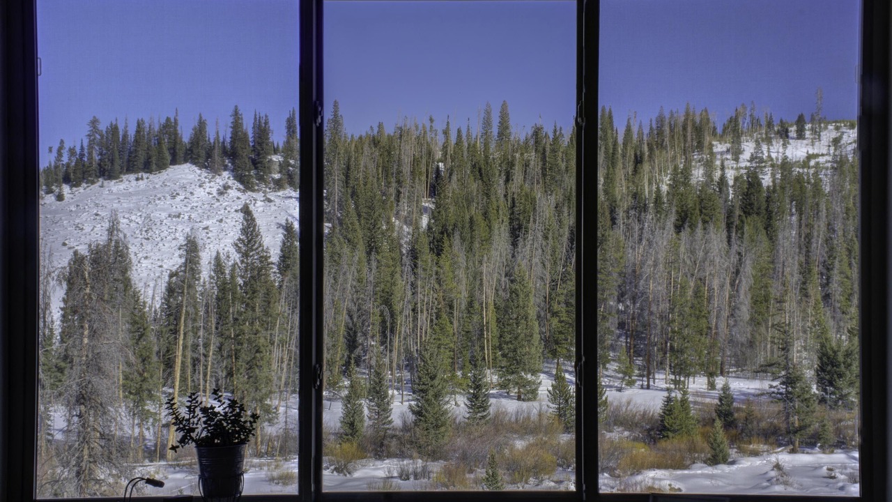 Photo of Bedroom in Winter Park