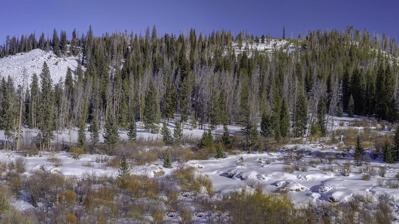 Photo of Others in Winter Park