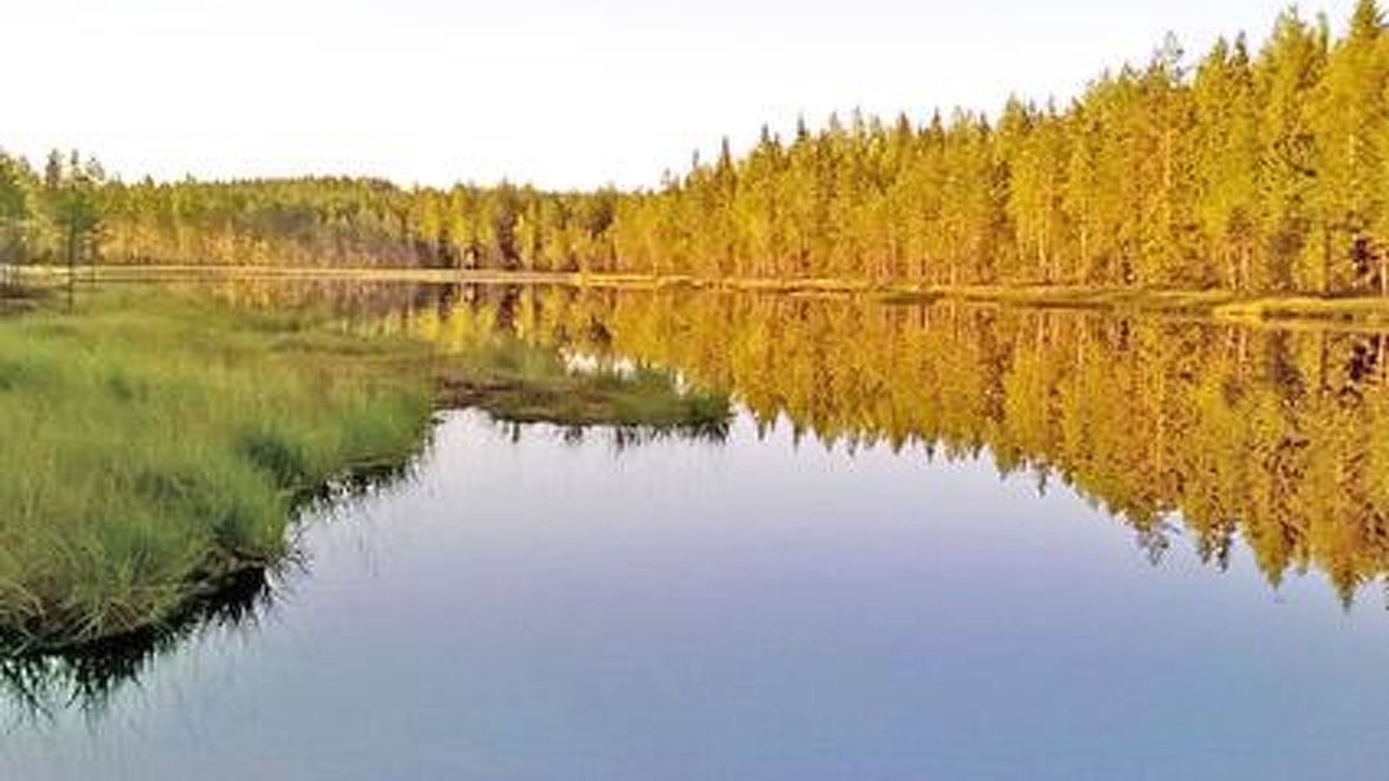Photo of Others in Ikaalinen