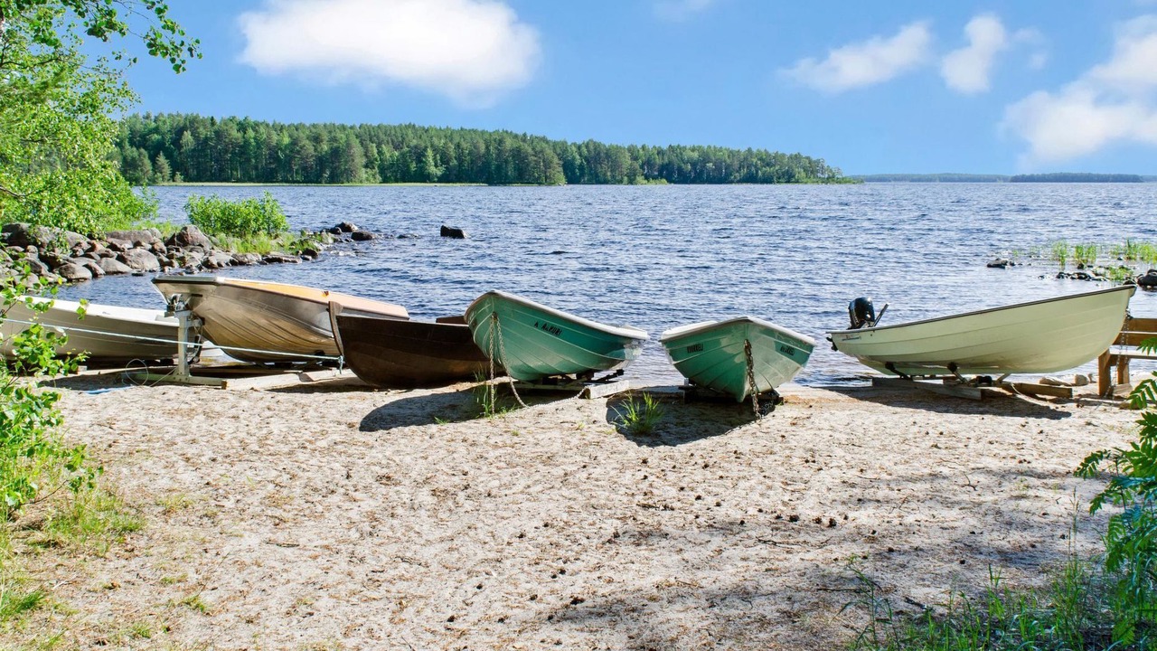 Photo of Others in Koli National Park