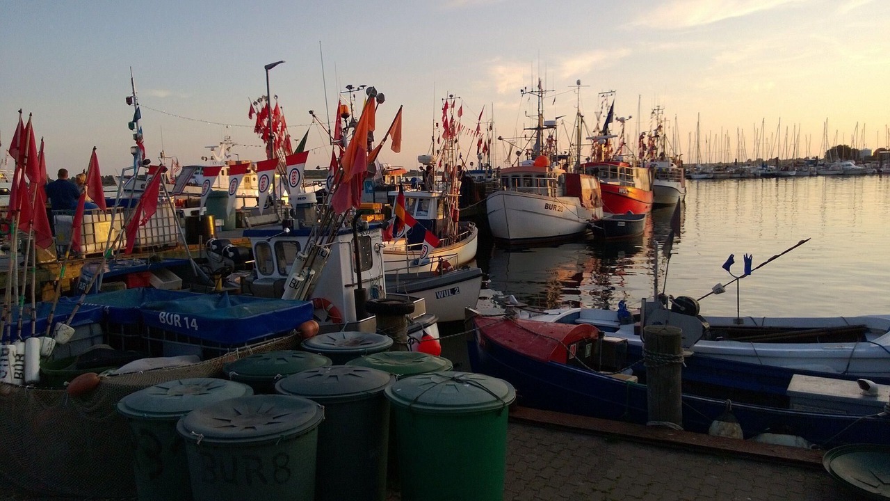 Photo of Others in Burg auf Fehmarn