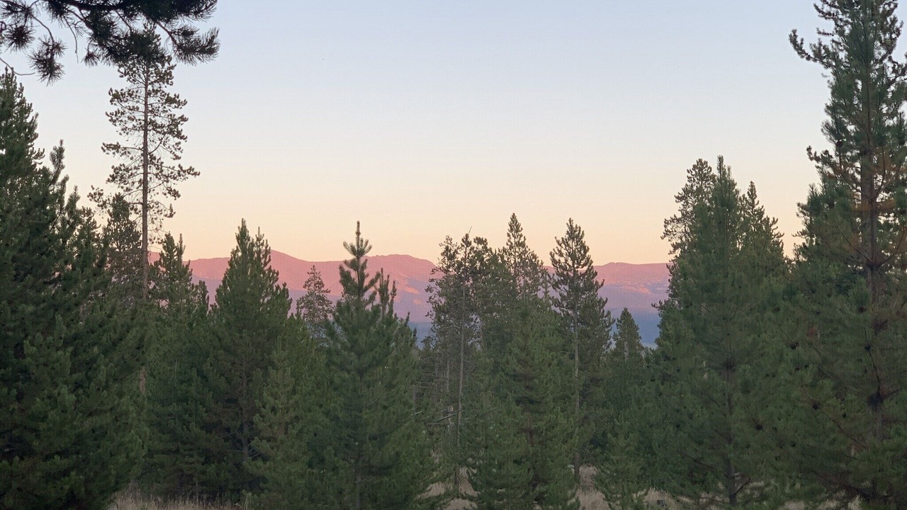 Photo of Others in Winter Park Highlands