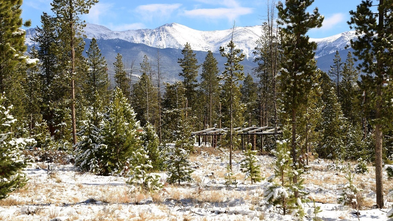 Photo of Others in Winter Park Highlands