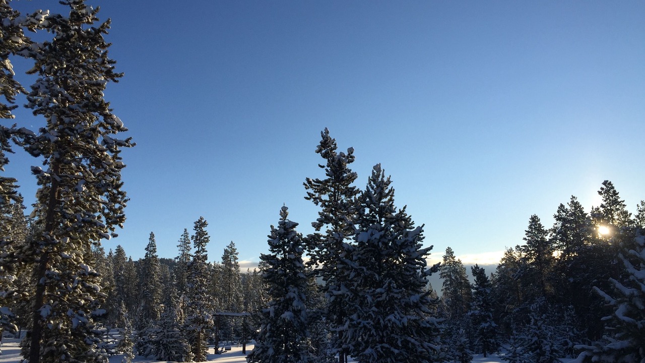 Photo of Others in Winter Park Highlands