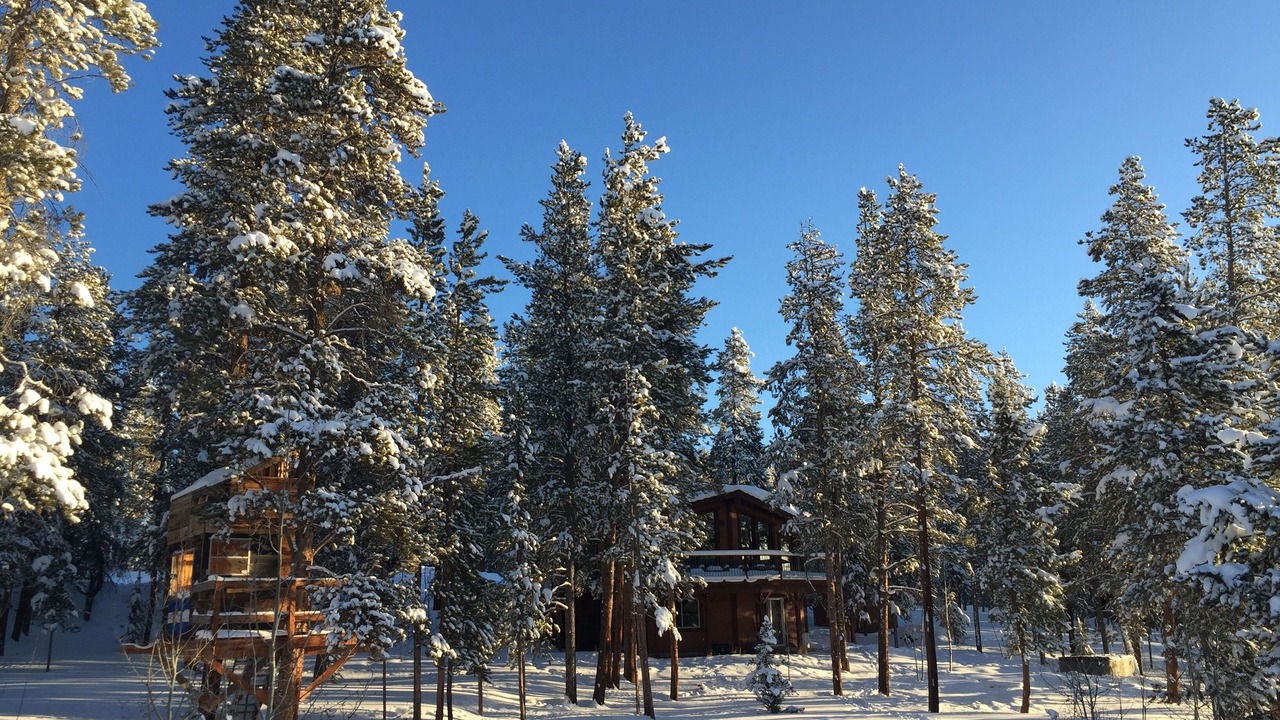 Photo of Others in Winter Park Highlands
