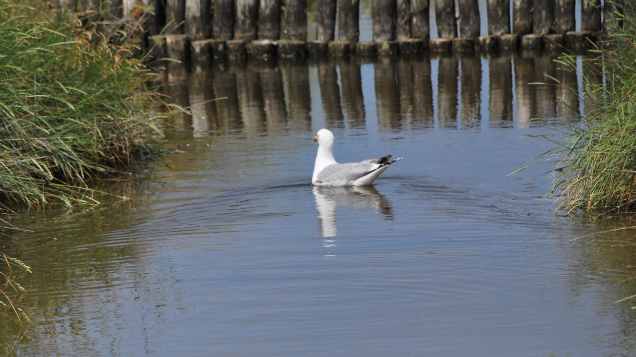 Photo of Outdoor in Nordstrand