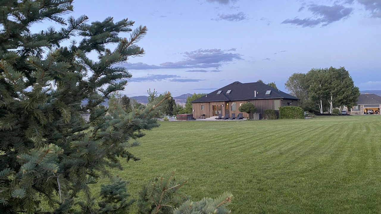 Photo of Outdoor in Montrose