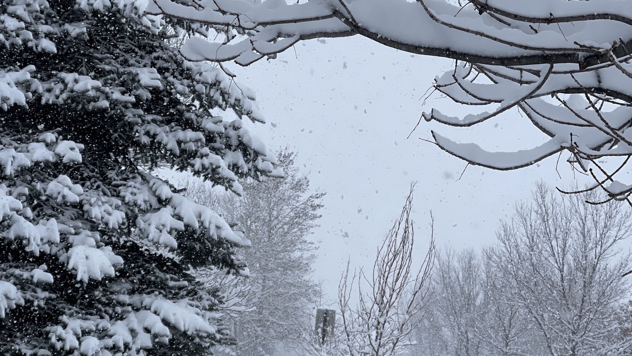 Photo of Outdoor in Eagle