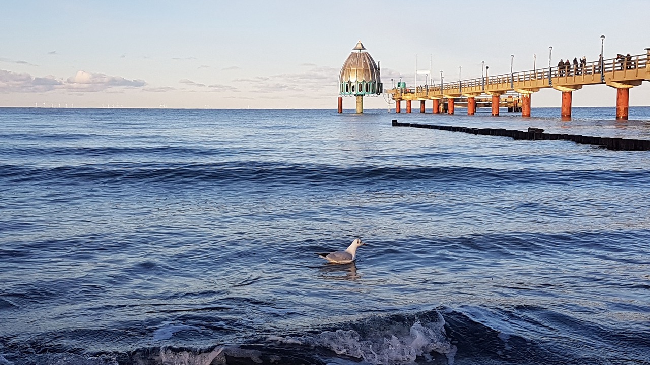 Photo of Others in Zingst