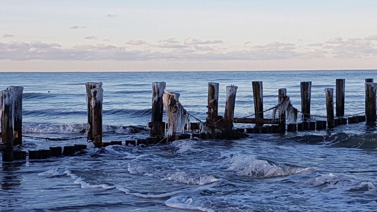 Photo of Others in Zingst