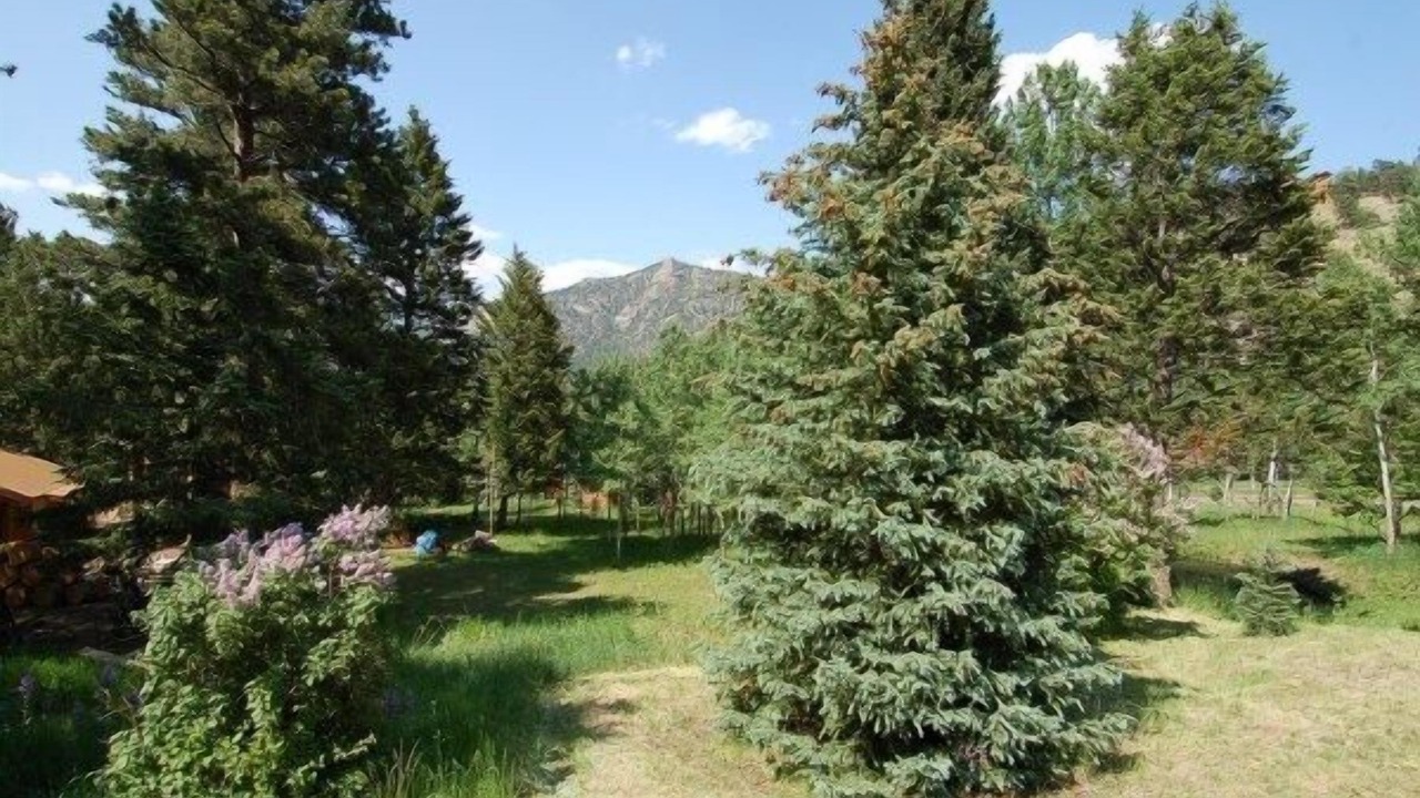 Photo of Others in Little Valley