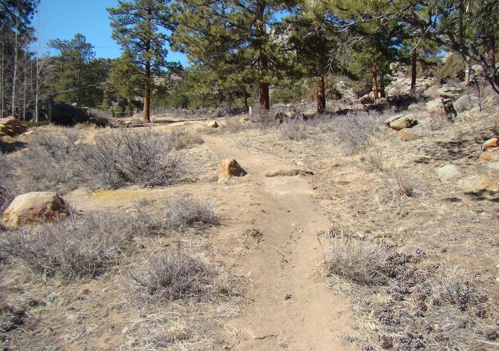 Photo of Others in Estes Park