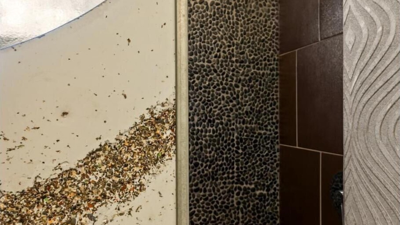 Photo of Bathroom in Colorado Springs