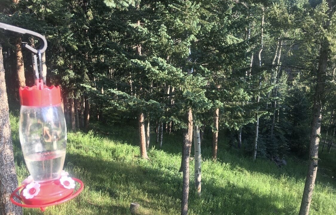 Photo of Outdoor in Shadow Mountain