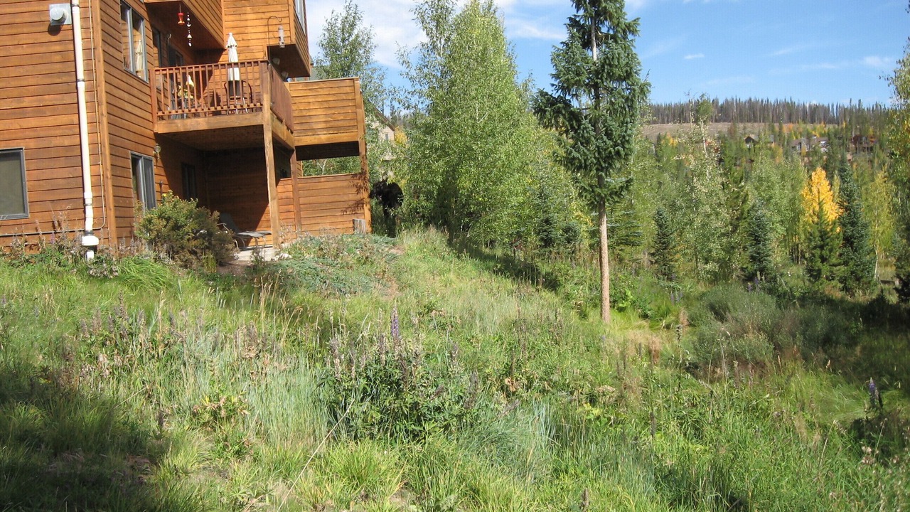 Photo of Others in Wildernest