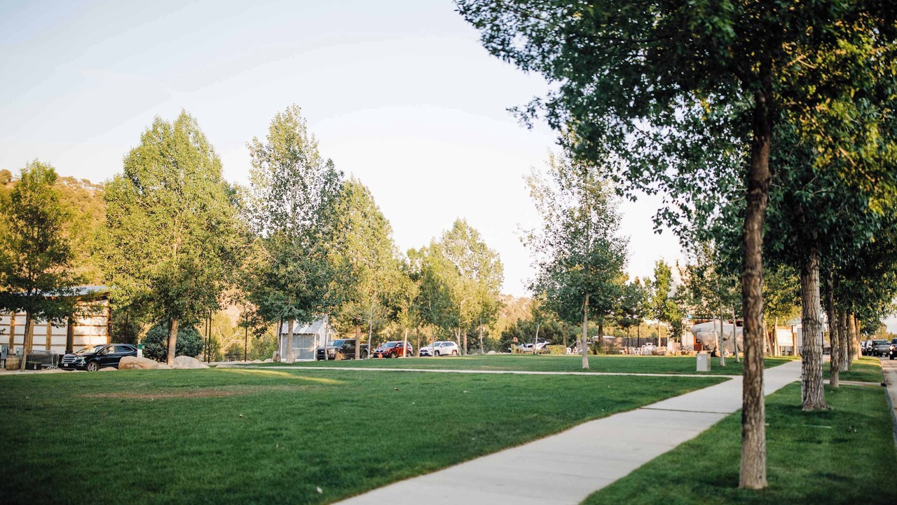 Photo of Others in Buena Vista