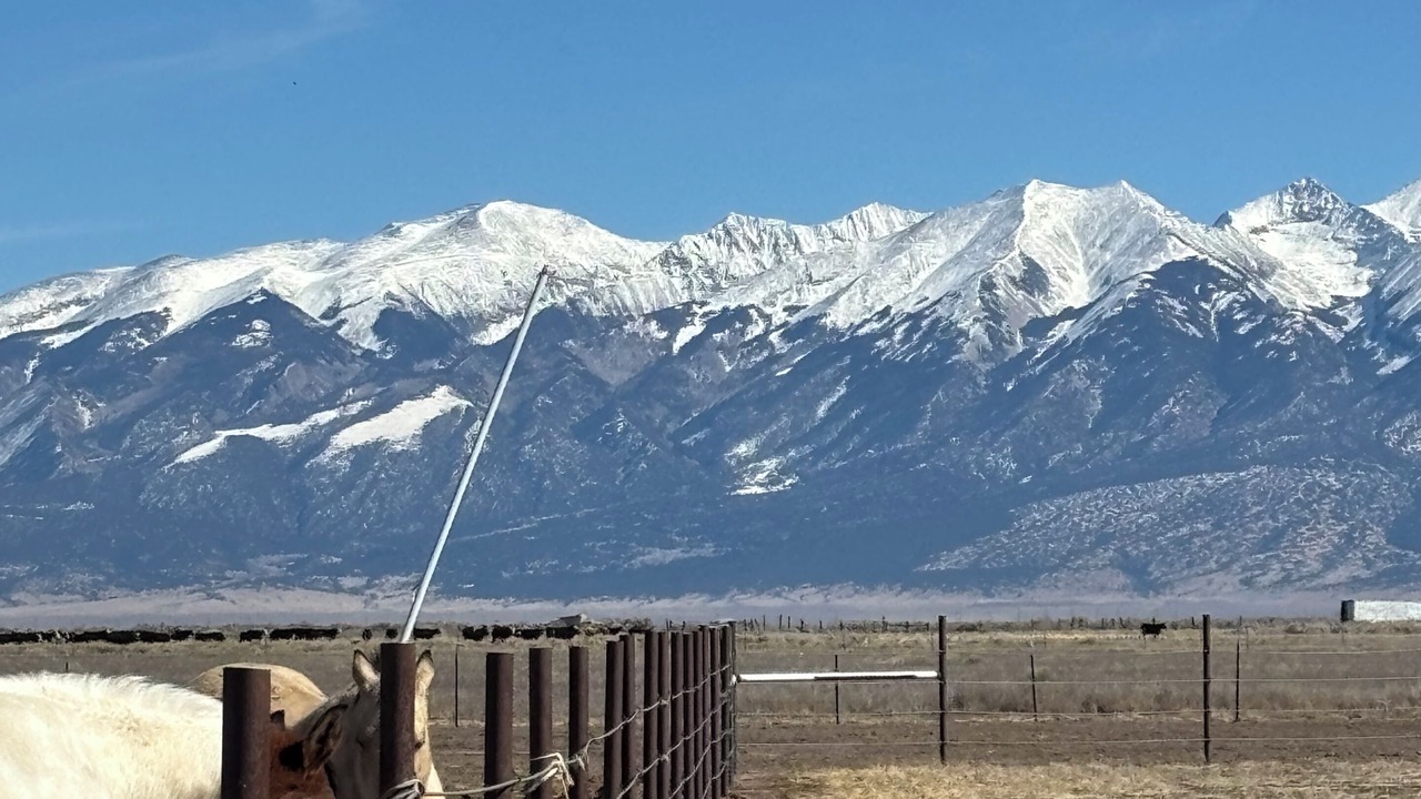 Photo of Others in Alamosa