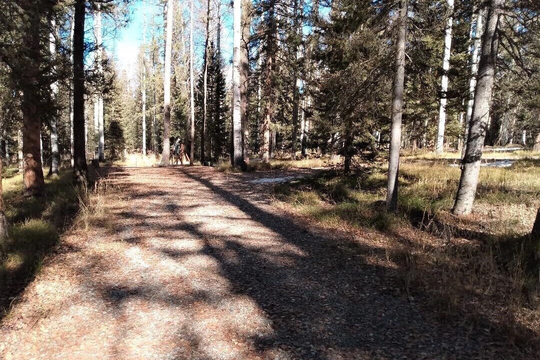 Photo of Others in Cimarron