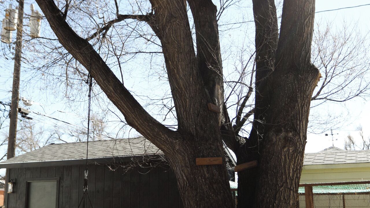 Photo of Others in Central Colorado Springs