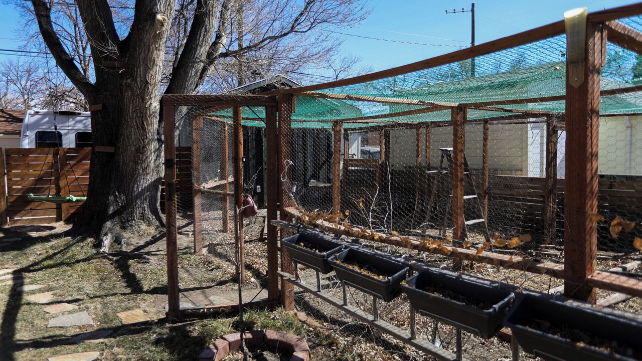 Photo of Outdoor in Central Colorado Springs