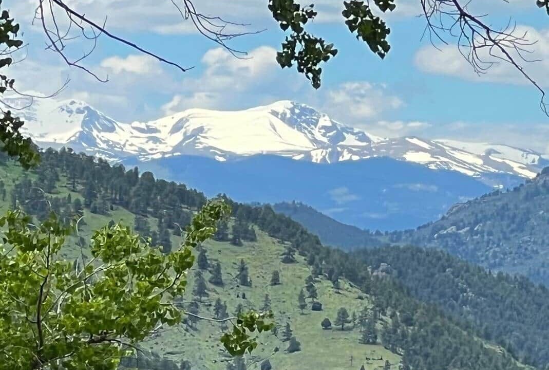 Photo of Others in Golden