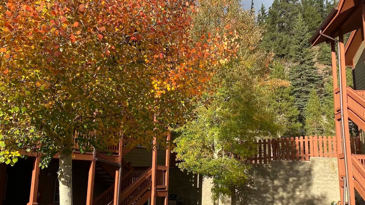 Photo of Outdoor in Breckenridge