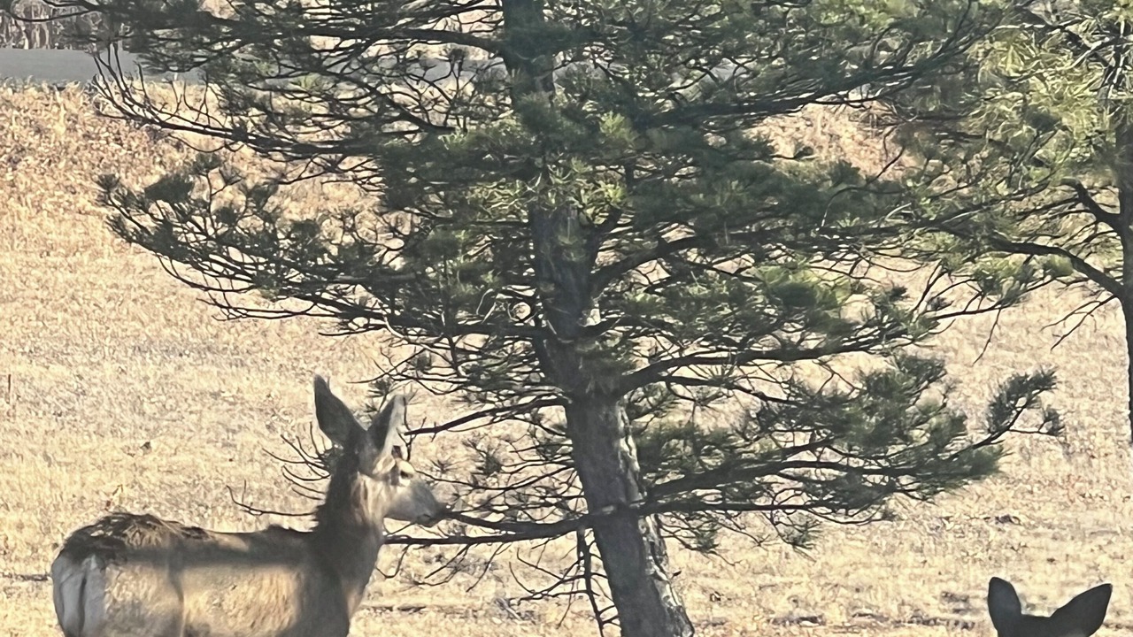 Photo of Others in Parker