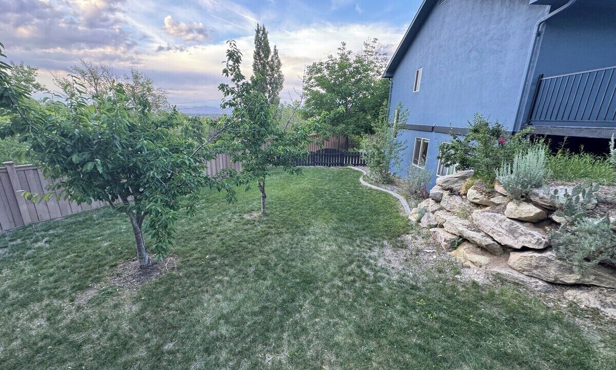 Photo of Outdoor in Grand Junction
