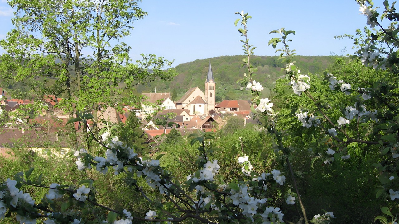 Photo of Outdoor in Boersch