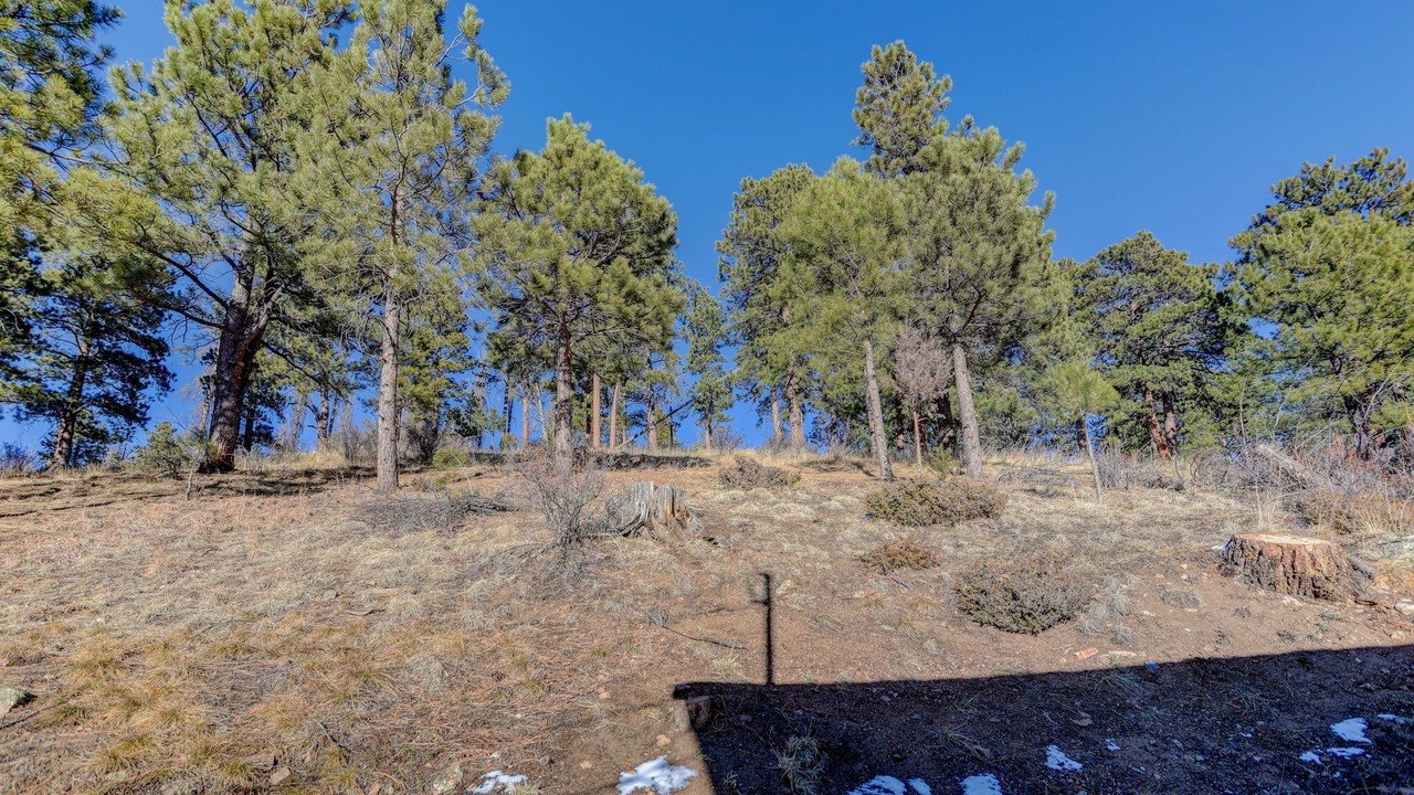 Photo of Others in Shadow Mountain