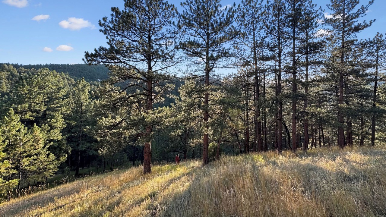 Photo of Others in Boulder