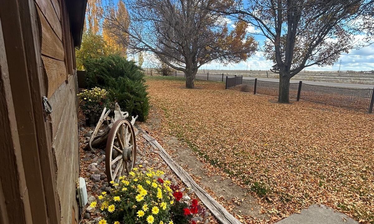 Photo of Outdoor in Del Norte