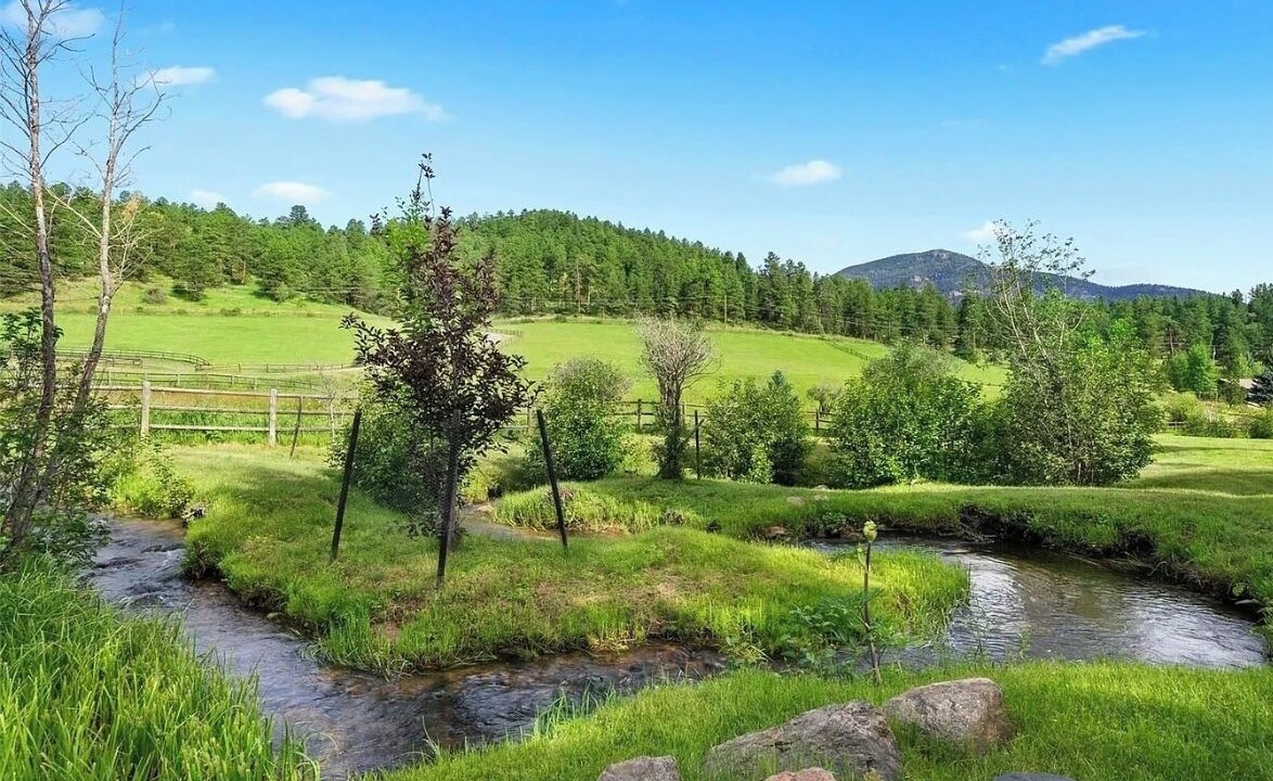 Photo of Others in Evergreen